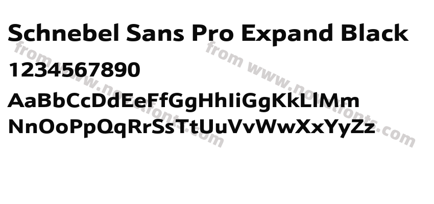 Schnebel Sans Pro Expand BlackPreview