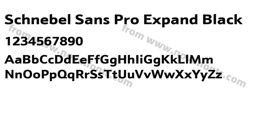 Schnebel Sans Pro Expand BlackPreview