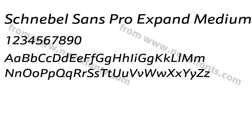 Schnebel Sans Pro Expand Medium ItalicPreview