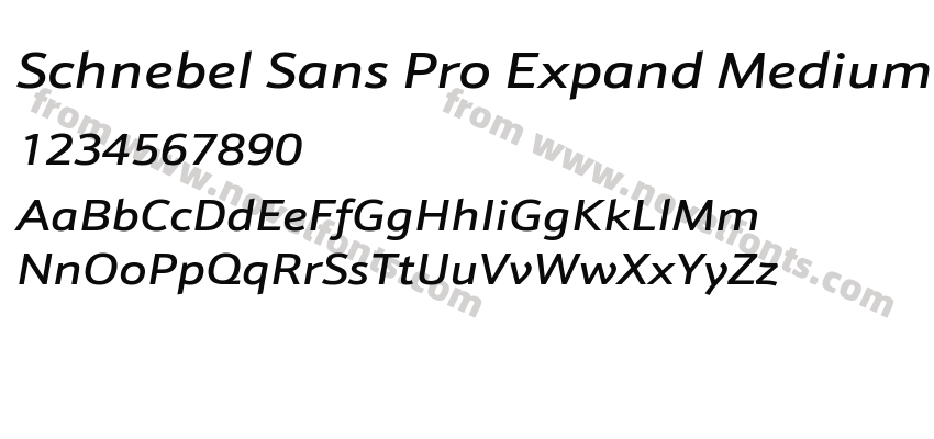 Schnebel Sans Pro Expand Medium ItalicPreview