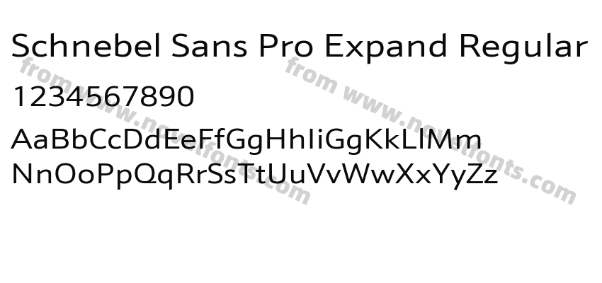 Schnebel Sans Pro Expand RegularPreview