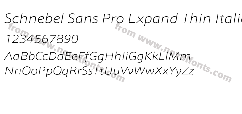 Schnebel Sans Pro Expand Thin ItalicPreview