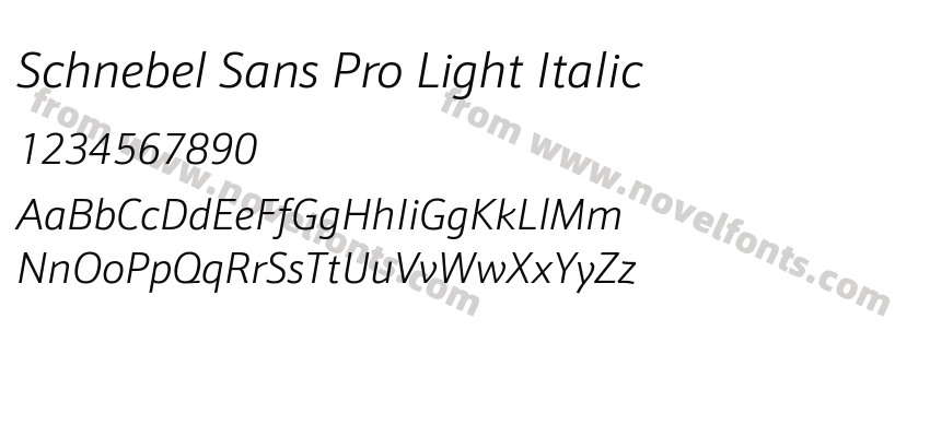 Schnebel Sans Pro Light ItalicPreview