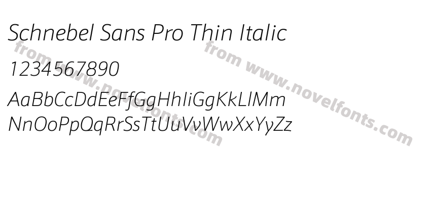 Schnebel Sans Pro Thin ItalicPreview