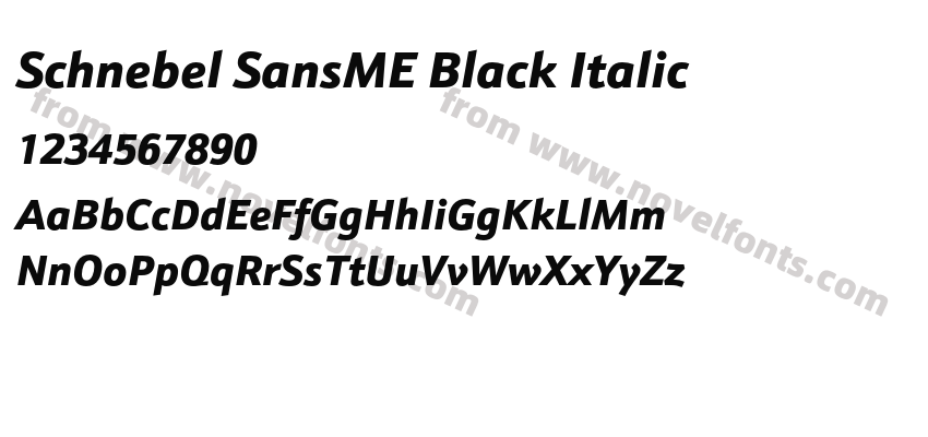 Schnebel SansME Black ItalicPreview