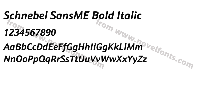 Schnebel SansME Bold ItalicPreview