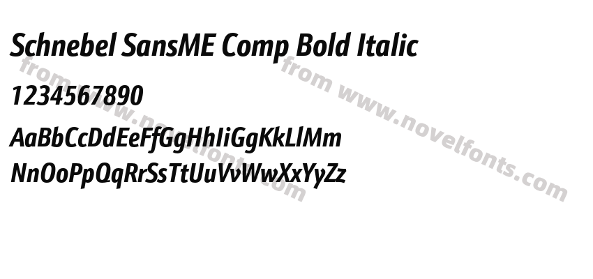 Schnebel SansME Comp Bold ItalicPreview