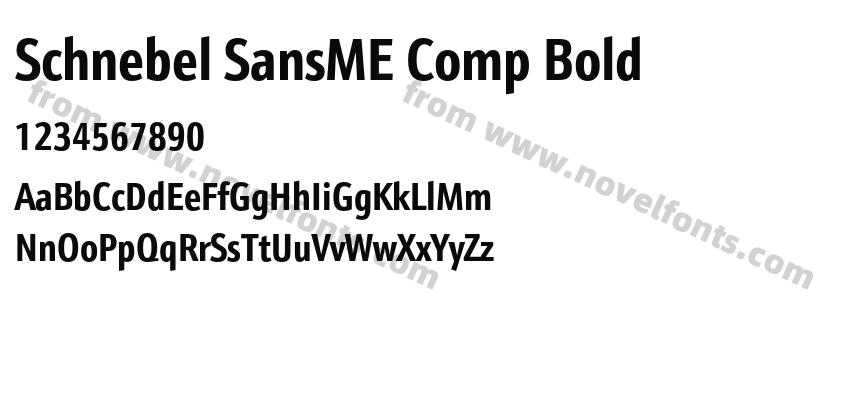 Schnebel SansME Comp BoldPreview