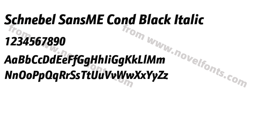 Schnebel SansME Cond Black ItalicPreview