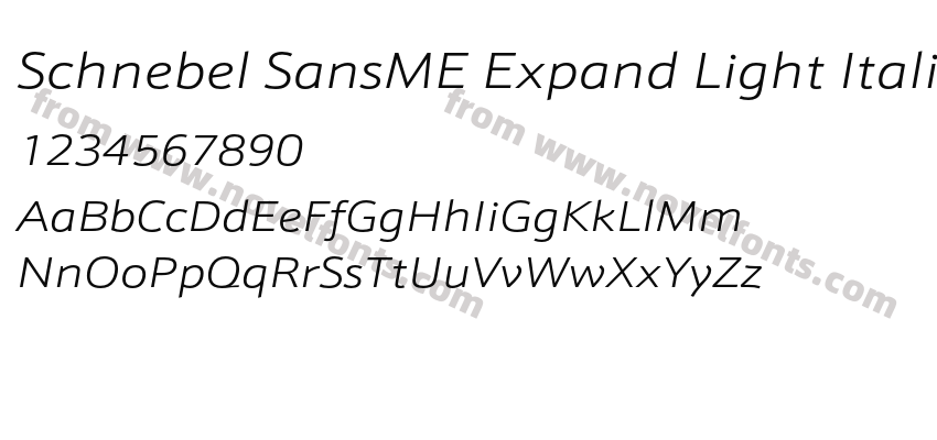 Schnebel SansME Expand Light ItalicPreview