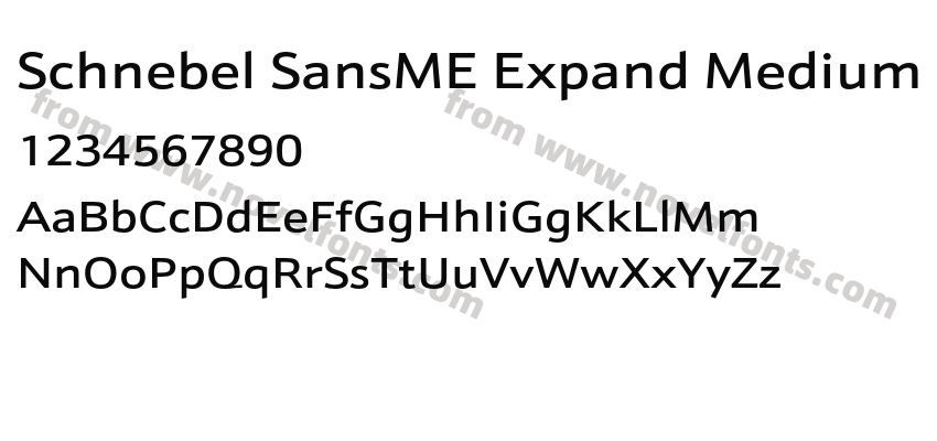 Schnebel SansME Expand MediumPreview