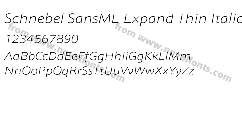 Schnebel SansME Expand Thin ItalicPreview