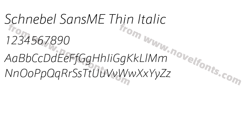 Schnebel SansME Thin ItalicPreview