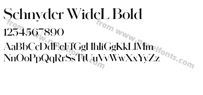 Schnyder WideL BoldPreview