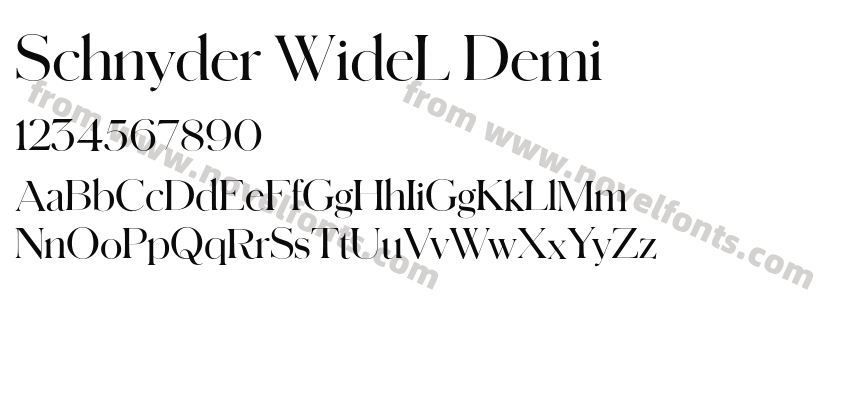 Schnyder WideL DemiPreview