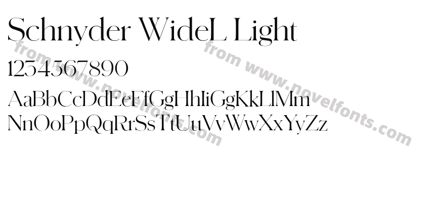 Schnyder WideL LightPreview