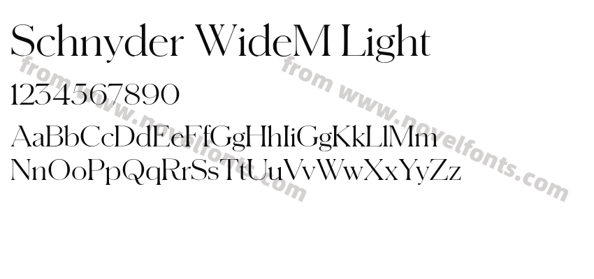 Schnyder WideM LightPreview