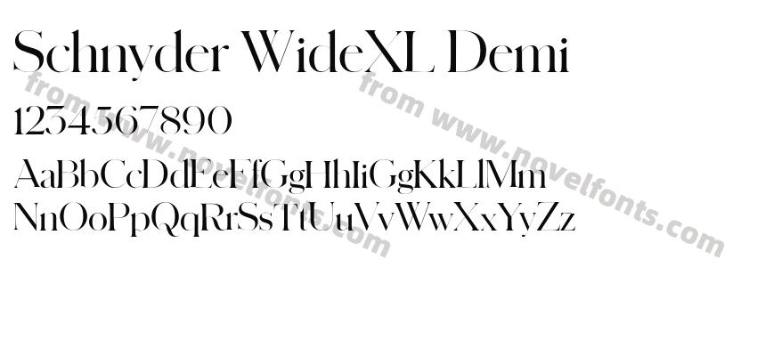Schnyder WideXL DemiPreview
