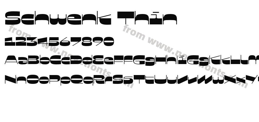 Schwenk ThinPreview
