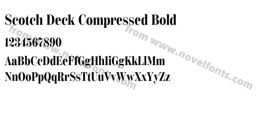 Scotch Deck Compressed BoldPreview