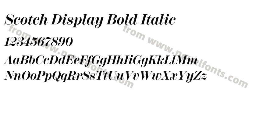 Scotch Display Bold ItalicPreview