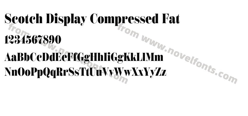 Scotch Display Compressed FatPreview