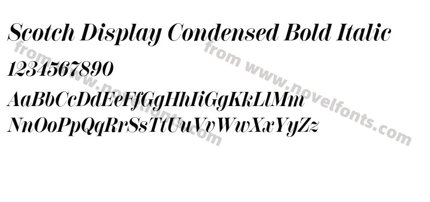 Scotch Display Condensed Bold ItalicPreview