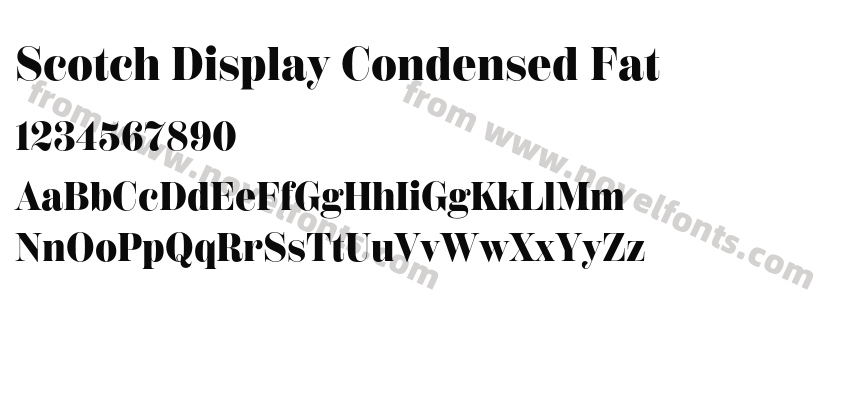 Scotch Display Condensed FatPreview