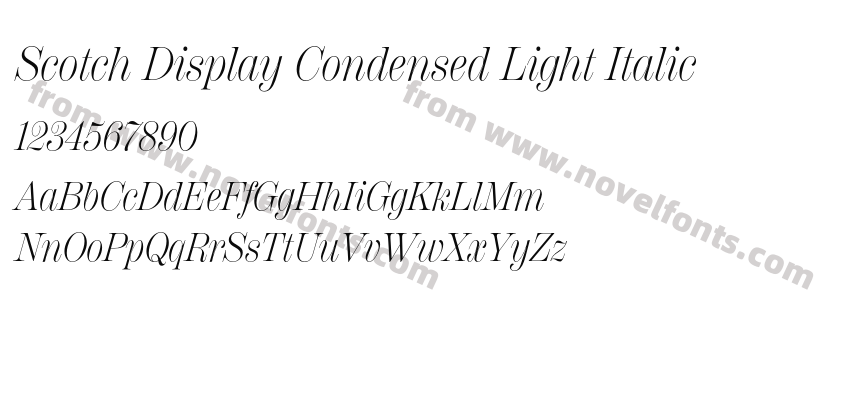 Scotch Display Condensed Light ItalicPreview
