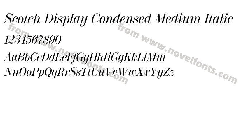 Scotch Display Condensed Medium ItalicPreview