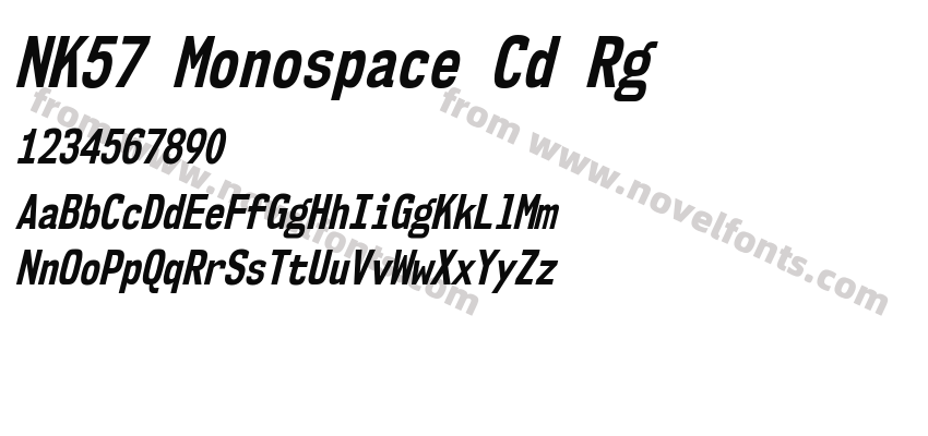 NK57 Monospace Cd Rg Bold ItalicPreview