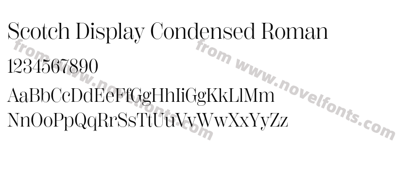 Scotch Display Condensed RomanPreview