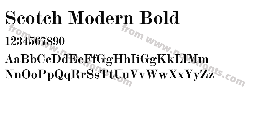 Scotch Modern BoldPreview