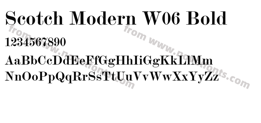 Scotch Modern W06 BoldPreview
