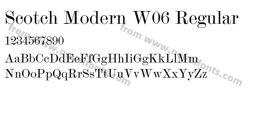 Scotch Modern W06 RegularPreview
