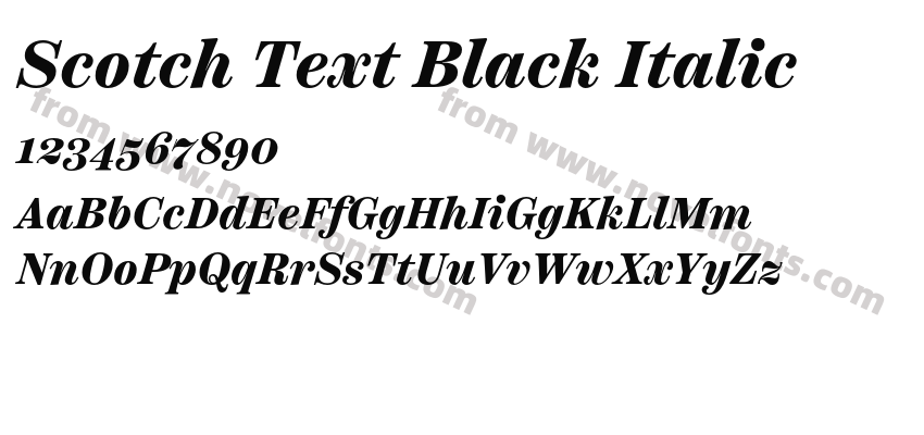 Scotch Text Black ItalicPreview