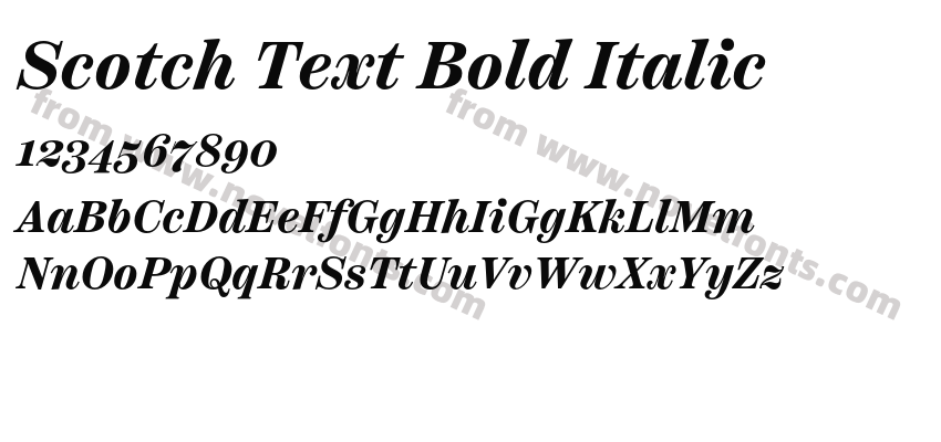 Scotch Text Bold ItalicPreview