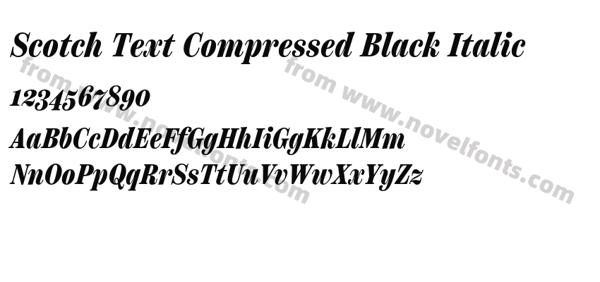 Scotch Text Compressed Black ItalicPreview