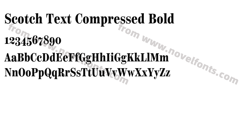 Scotch Text Compressed BoldPreview