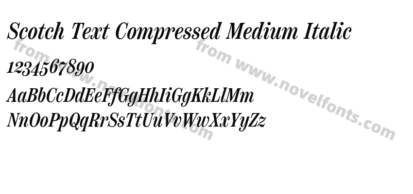 Scotch Text Compressed Medium ItalicPreview