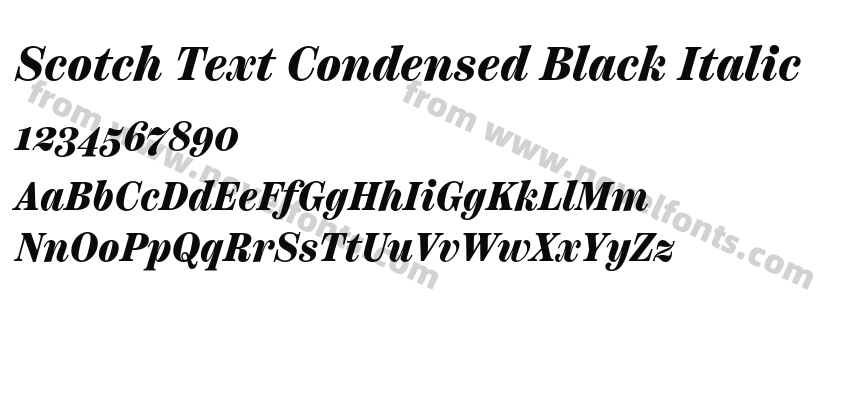 Scotch Text Condensed Black ItalicPreview