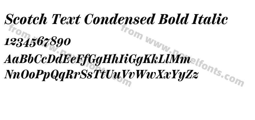 Scotch Text Condensed Bold ItalicPreview