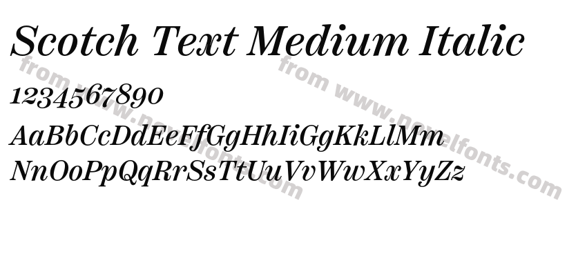 Scotch Text Medium ItalicPreview