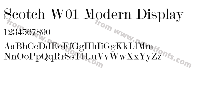 Scotch W01 Modern DisplayPreview