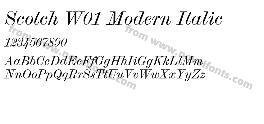 Scotch W01 Modern ItalicPreview