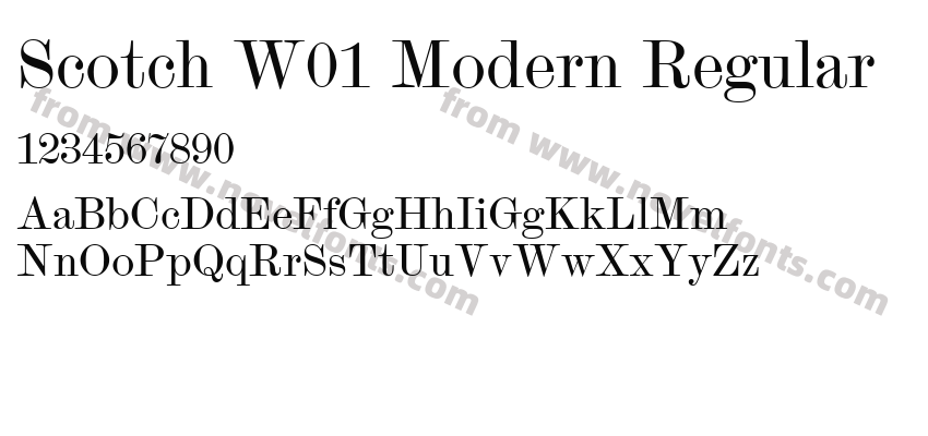 Scotch W01 Modern RegularPreview