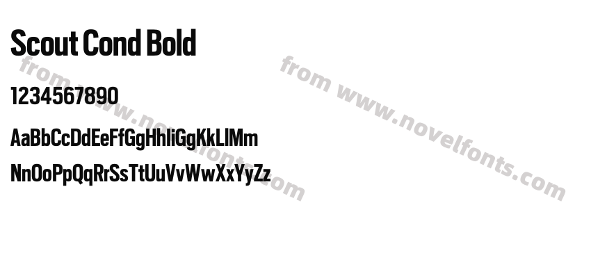 Scout Cond BoldPreview