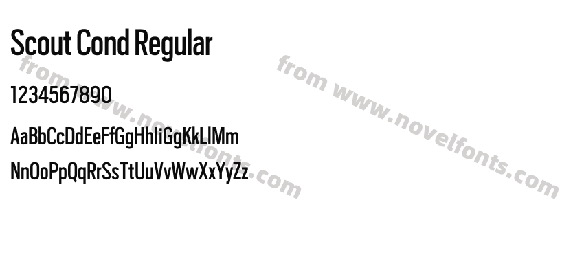 Scout Cond RegularPreview