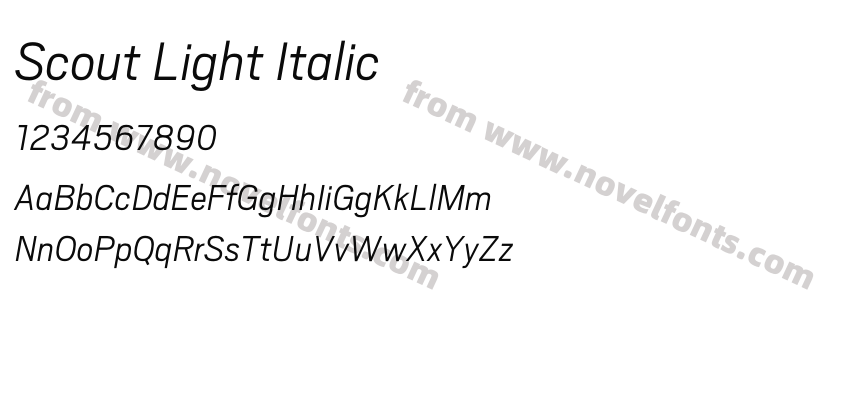 Scout Light ItalicPreview