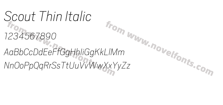 Scout Thin ItalicPreview